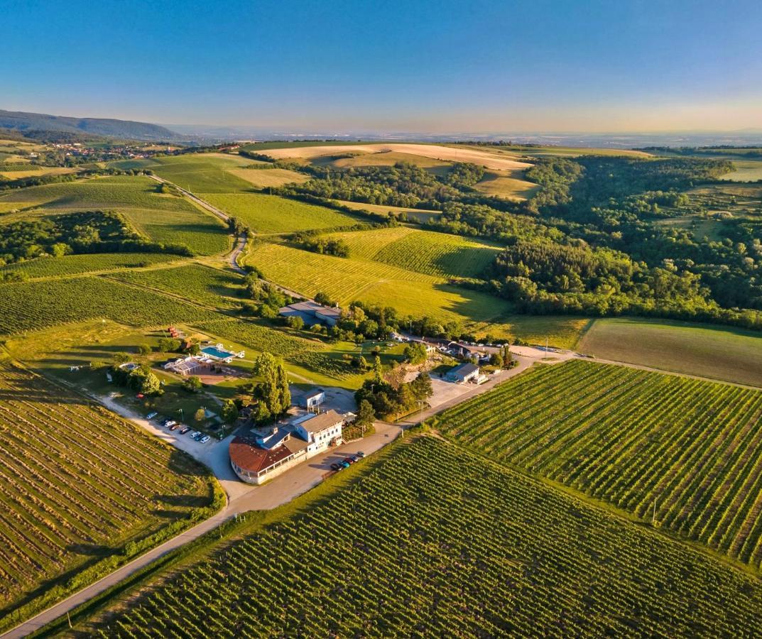 Hilltop Borbirtok & Etterem Hotell Neszmély Exteriör bild